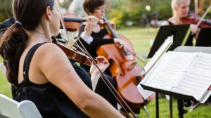 Sunny Days are Here - Chicago Wedding Musicians